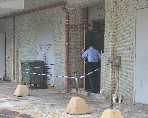 華禮樓有女子墮樓身亡。 楊偉亨攝