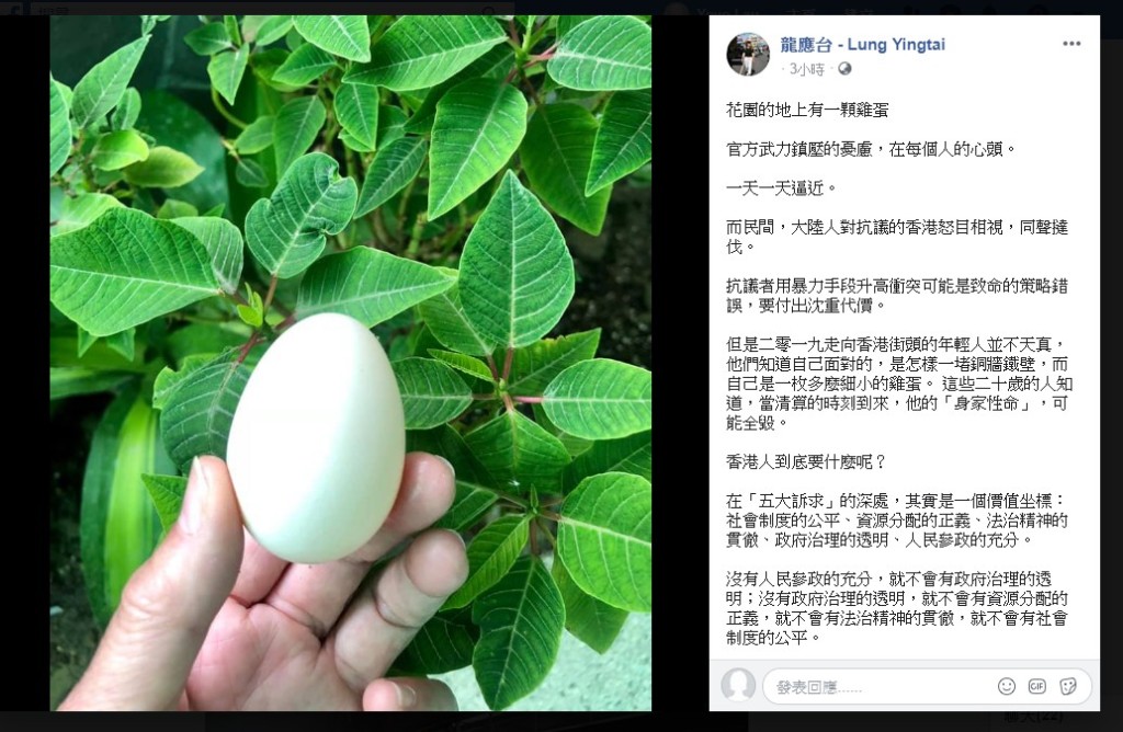 龍應台FB截圖