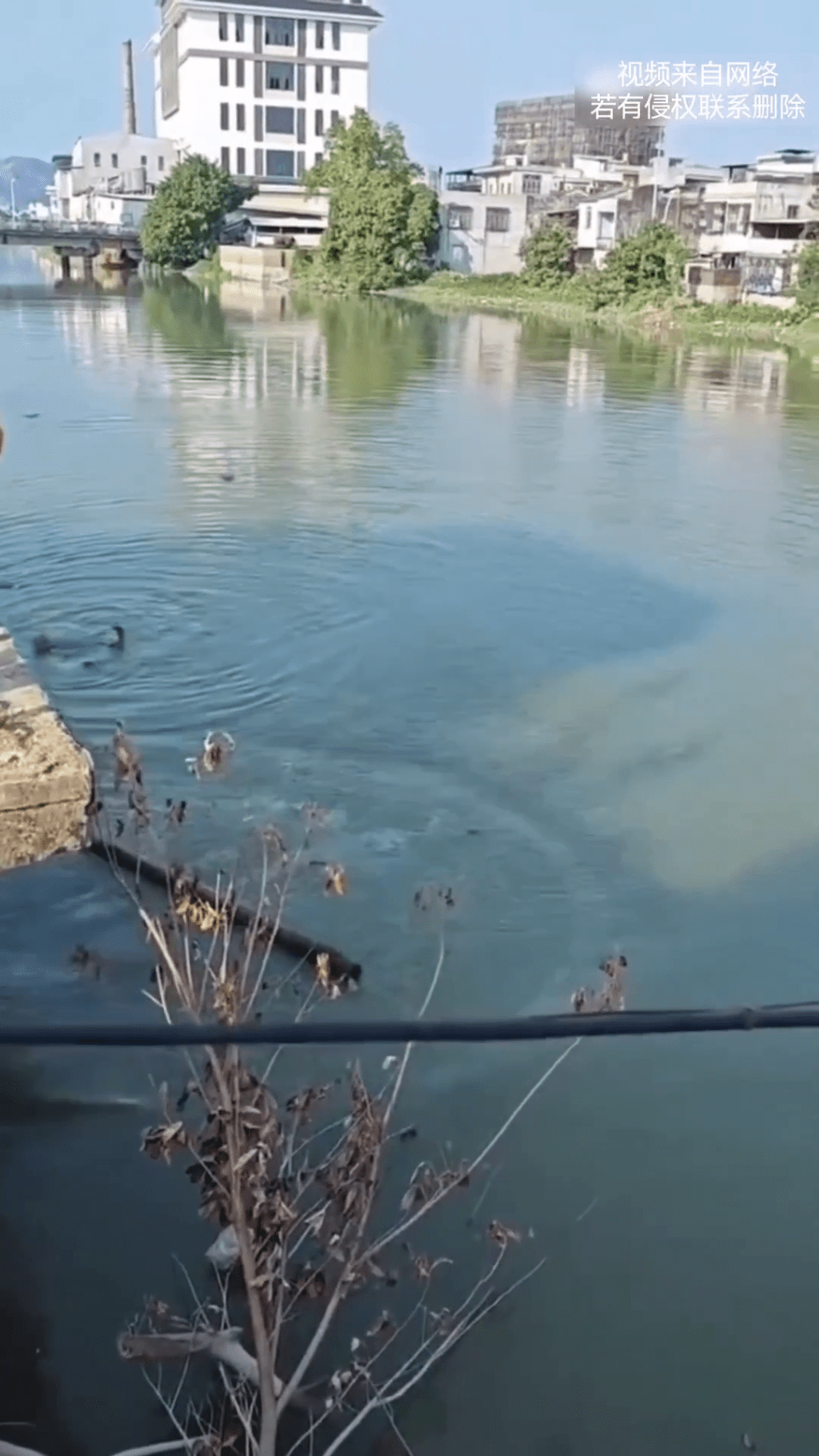 路人伸出援手利用竹竿等工具合力施救。 路人伸出援手利用竹竿等工具合力施救。