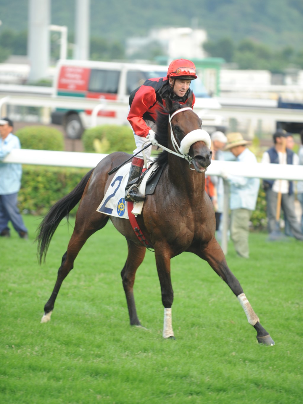 「火箭人」(圖) 在〇五年在澳洲出生，服役以來上陣二十七次，取得二十場頭馬。