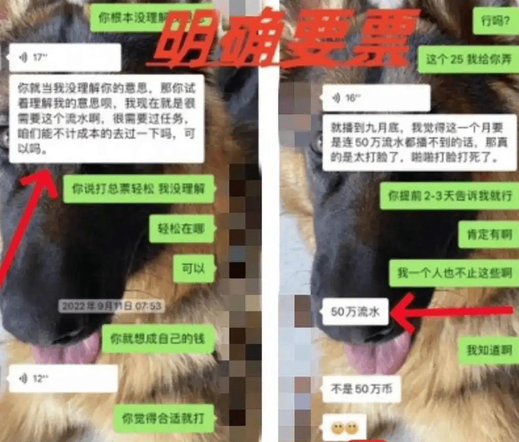 成某與張成的聊天記錄。