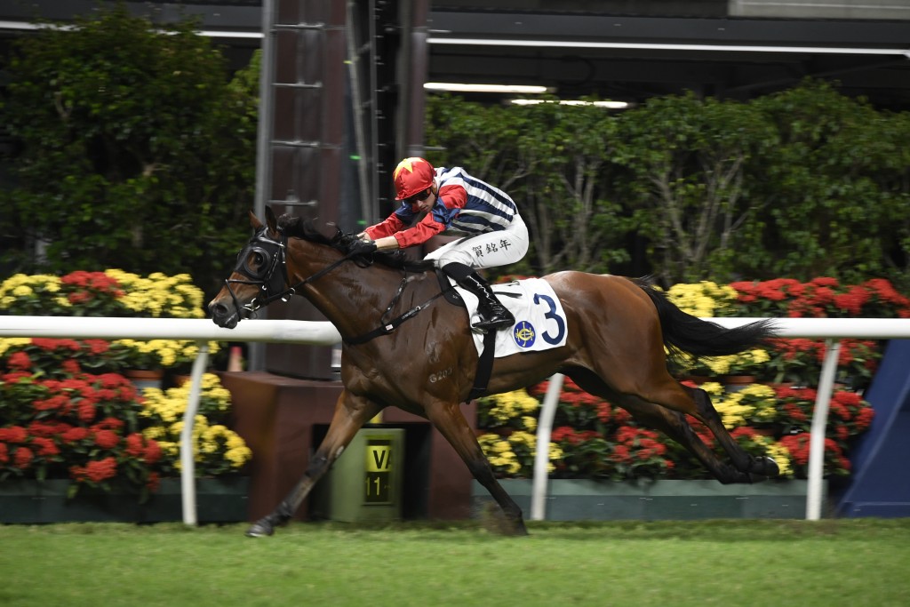 「辣得驾势」临场只要发挥出本身速度，有力走入前列。