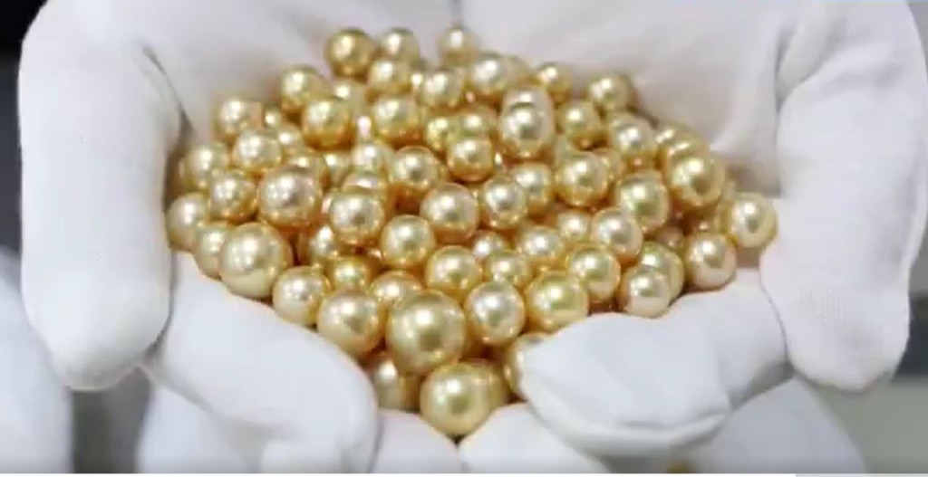 珍珠总值约362万元。