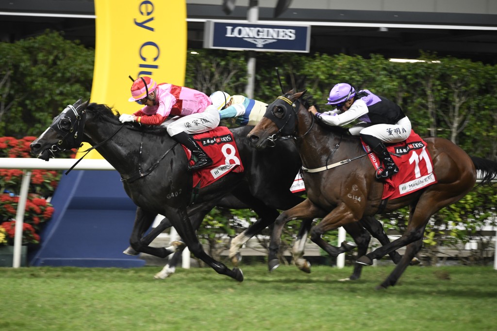 「中華英雄」由吳嵩親自培育，在港已經累積四場頭馬。