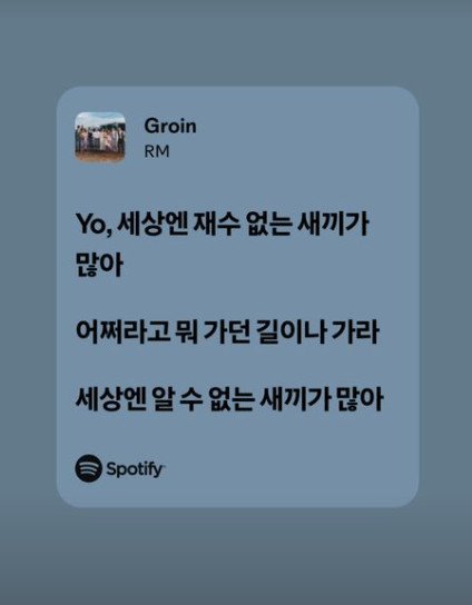 RM當年在社交平台公開《Groin》的歌詞，歌詞中不時罵「混蛋」，粉絲指他疑暗寸李陳鎬。