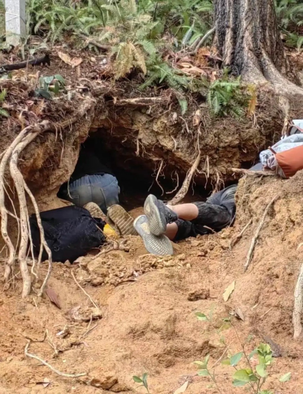 广州暹岗大山遭非法开挖水晶致环境大受破坏。小红书@雷风