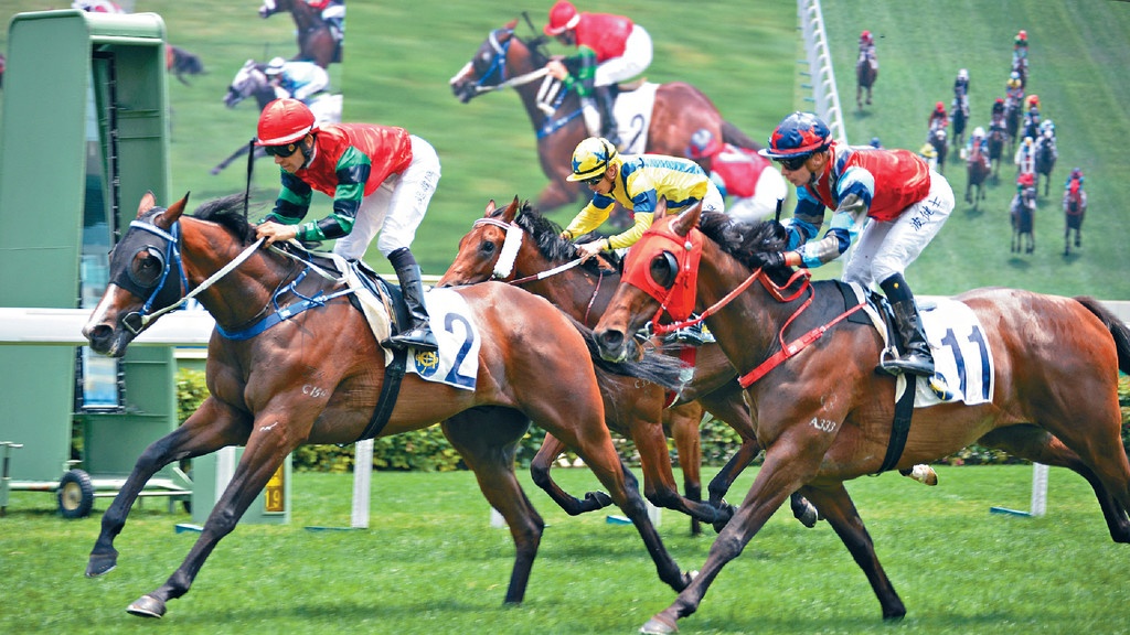 赛马。资料图片