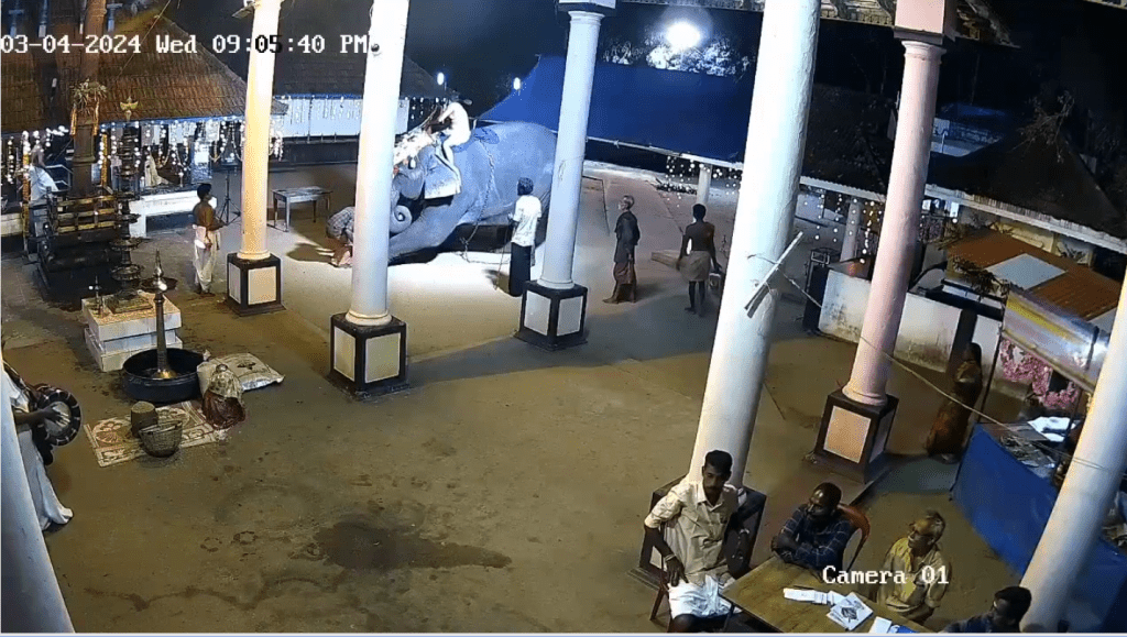 从庙内CCTV拍下的画面所见，大象初时很顺服地跪在地上。