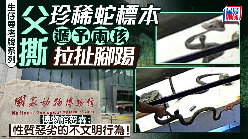 生仔要考牌︱父取珍稀標本遞兩孩拉扯 博物館：強烈譴責