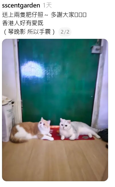 Threads截圖（資料來源：sscentgarden＠Threads）