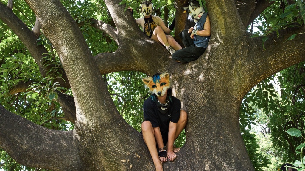 一些更喜欢安静的“兽人”躲在树上。 美联社