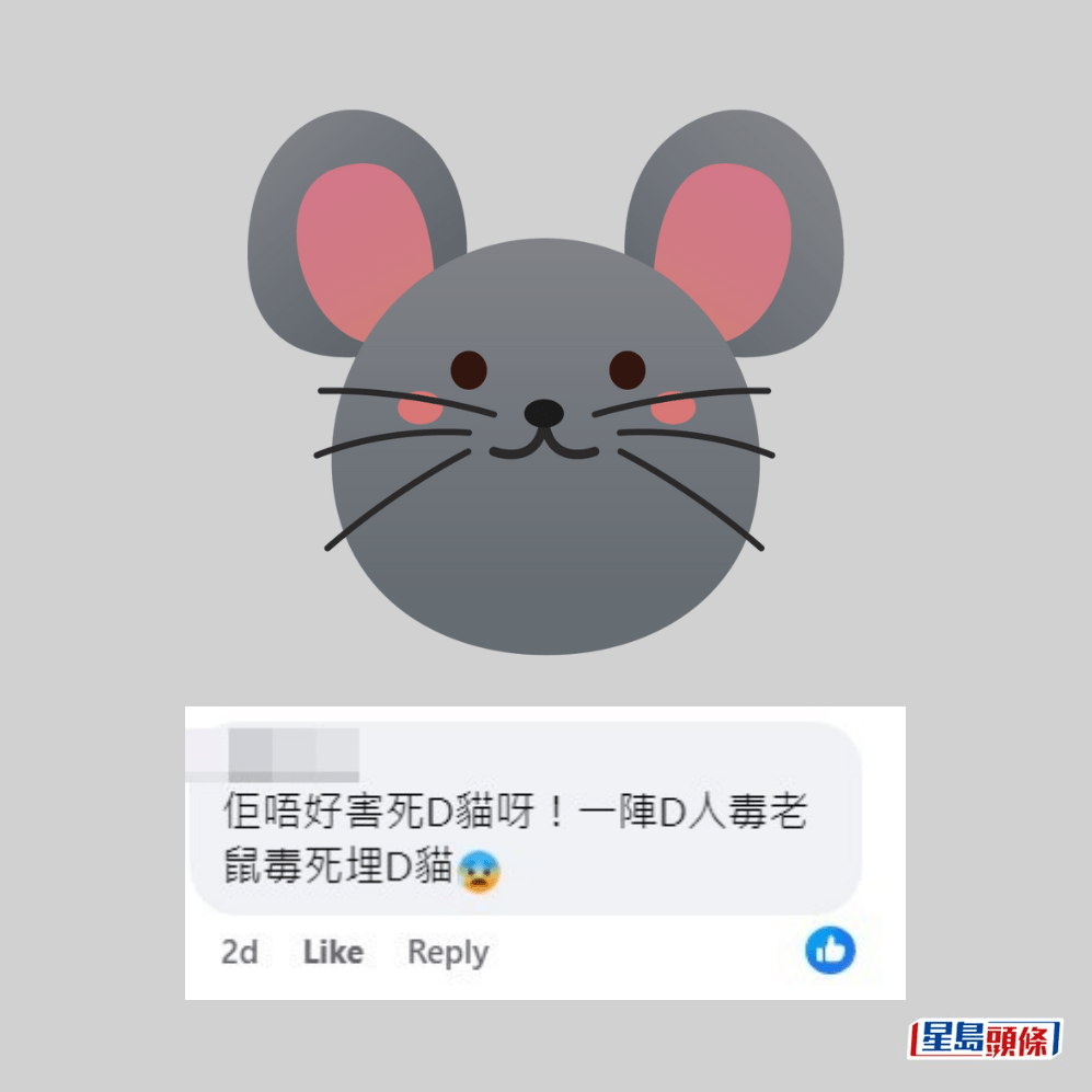 网民：佢唔好害死啲猫呀！一阵啲人毒老鼠毒死埋啲猫。fb「屯门友」截图