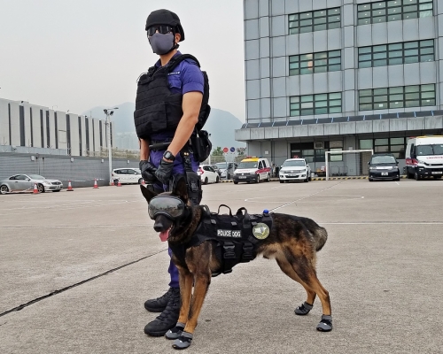 警犬配備護目鏡、護耳罩及保護鞋。