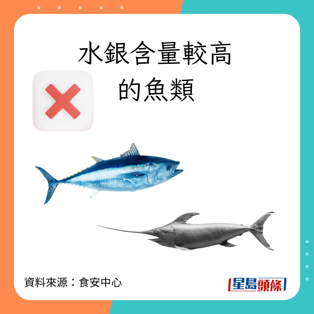 魚類水銀｜水銀含量較高的魚類