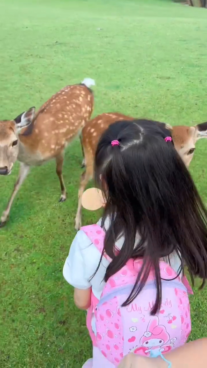 孖女第一次喂鹿。