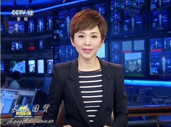 歐陽夏丹籍貫為廣西桂林，曾是中央電視台新聞頻道主持人。互聯網