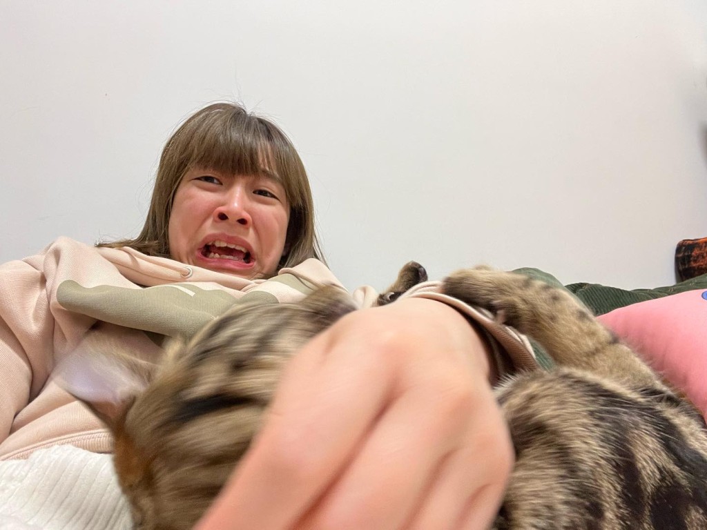 阿正經常上載同貓貓生活之日常，例如被咬。