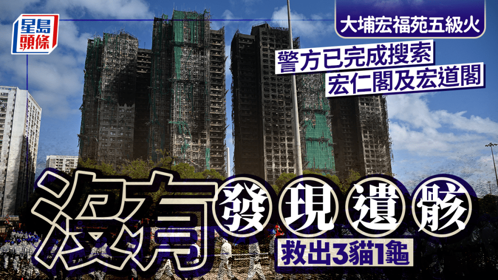 大埔宏福苑五級火｜警方完成搜索宏仁閣宏道閣 未發現遺骸 救出3貓1龜