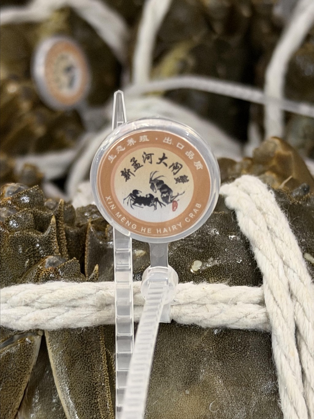 蟹身帶有「身份證」——溯源扣環,從養殖地到檢驗報告,可掃碼通曉,港人食蟹更安心。 蟹身帶有「身份證」——溯源扣環,從養殖地到檢驗報告,可掃碼通曉,港人食蟹更安心。