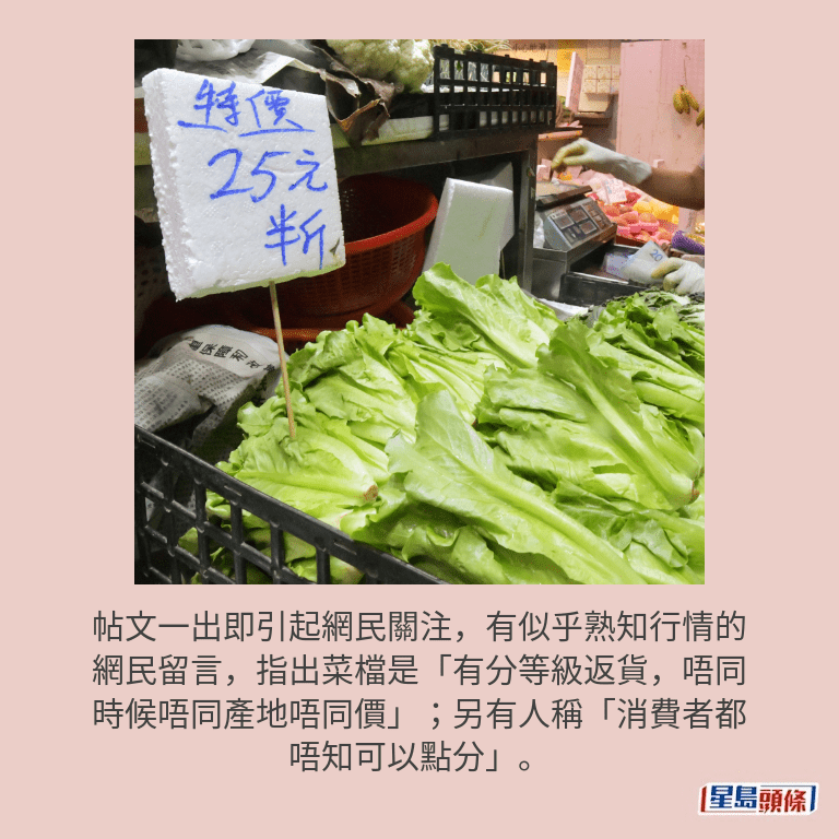 資料圖片 資料圖片