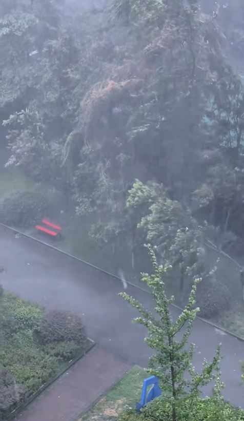 重慶多地11日降大暴雨，全市要緊急轉移逾1.4萬人。小紅書