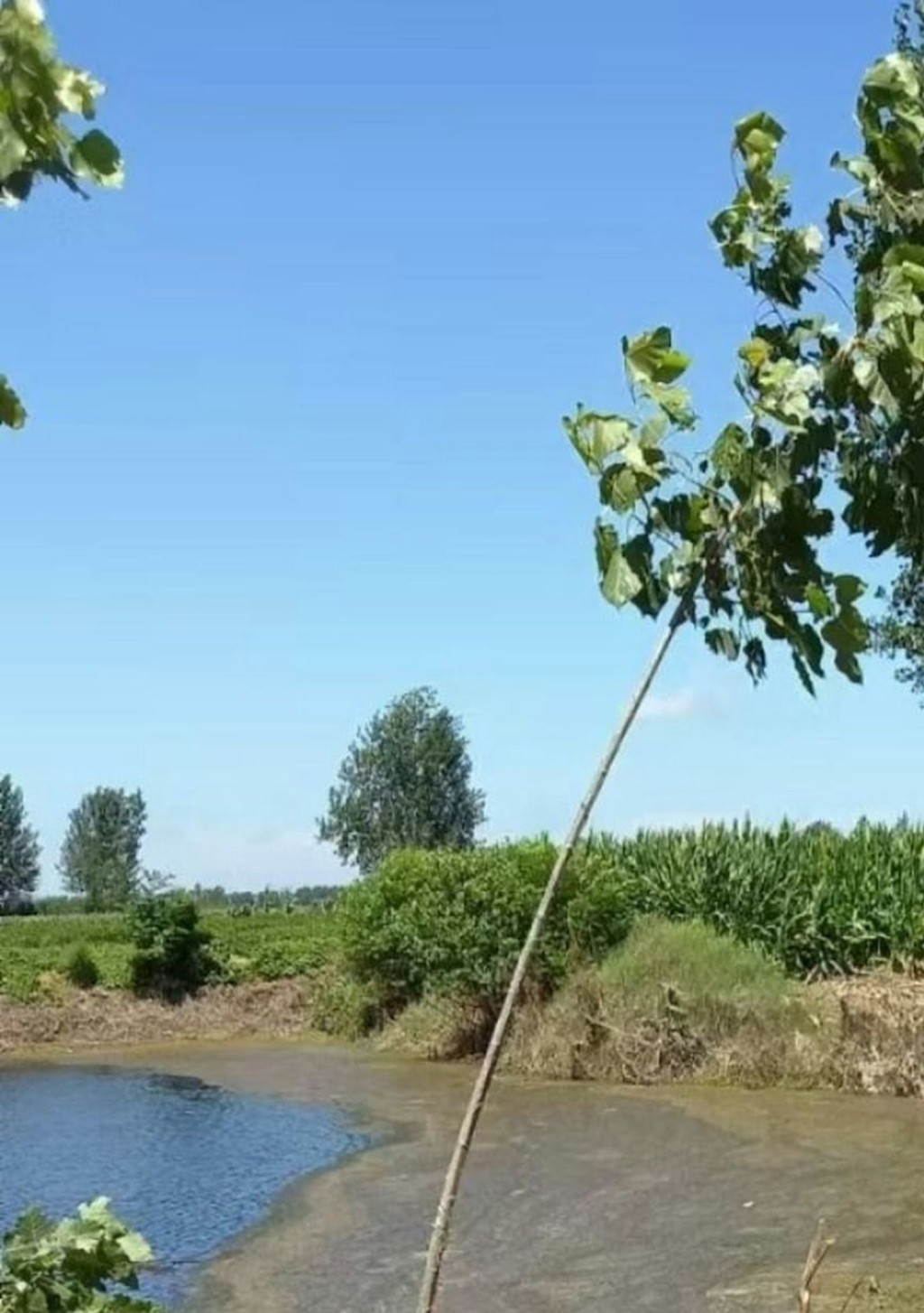 河南少女小雨逃避性侵時跌落水塘，被色狼阻止上岸致溺死。