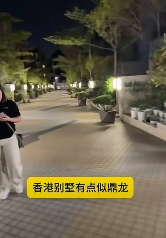 陳百祥的豪宅外圍氣派不凡。 陳百祥的豪宅外圍氣派不凡。