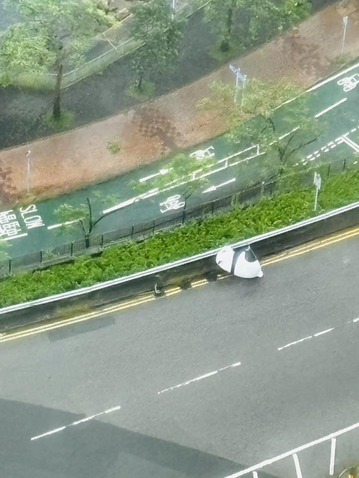 樓主：「在無情的十號風球 下，寶邑路花圃有隻大笨熊貓趁機走甩，幸得 熱心市民出手搶救…」。fb「將軍澳主場」截圖