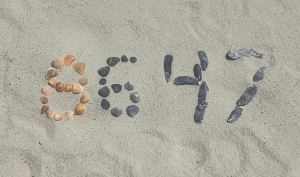 科米去年5月发布的照片可见贝壳排列成8647字样。 IG