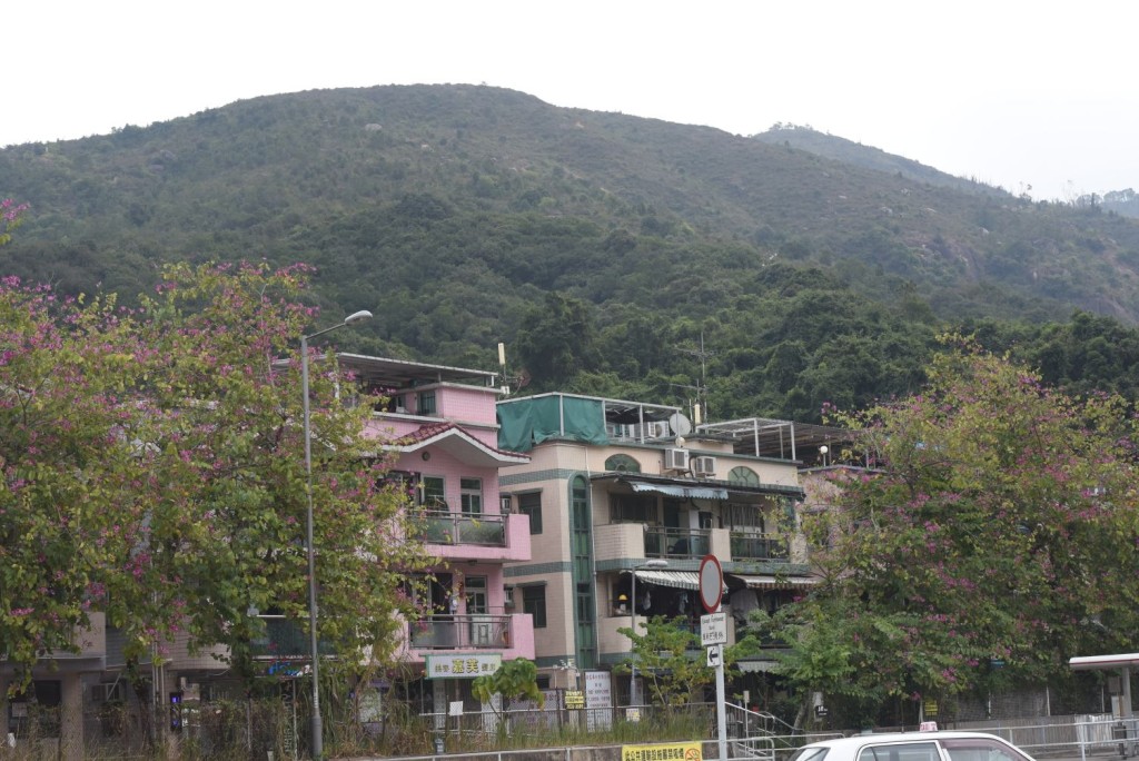 氣球墮於富安花園附近山頭。