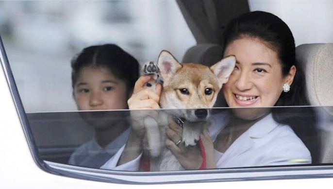 與愛犬外出。
