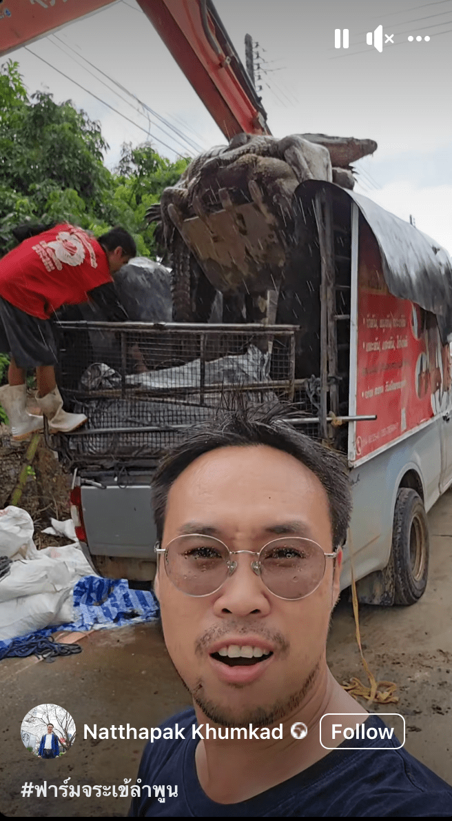 库姆卡德在社交平台上载用挖土机运载鳄鱼尸体的震撼情景。