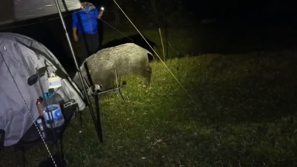 Threads截圖(資料來源:szewai_li@Threads) Threads截圖(資料來源:szewai_li@Threads)