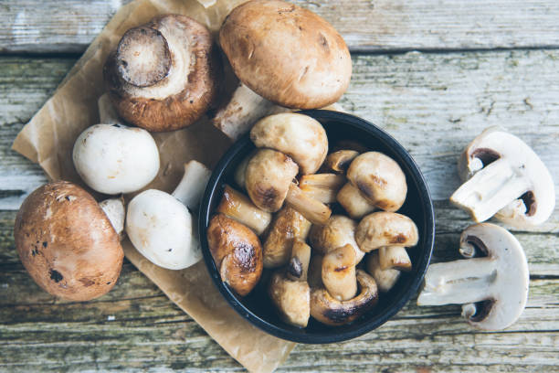 菇類有益，且是最常見食材之一，但須慎防誤食毒菇。