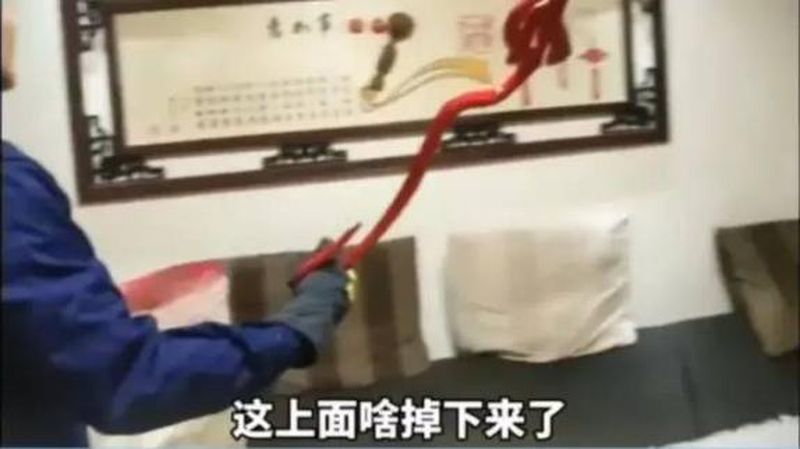 紅色長蛇原來是裝飾畫裡掉下來的「如」字。網圖