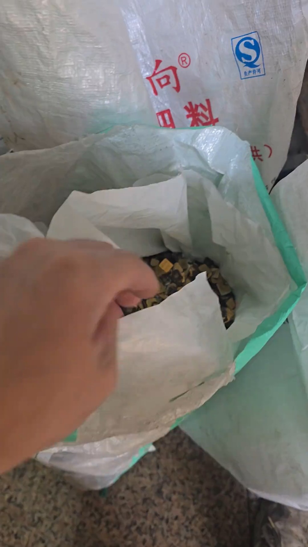 男子將舊SIM卡提煉出黃金。抖音@客家煉金師-橋 男子將舊SIM卡提煉出黃金。抖音@客家煉金師-橋