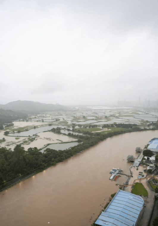 深圳河嚴重氾濫。