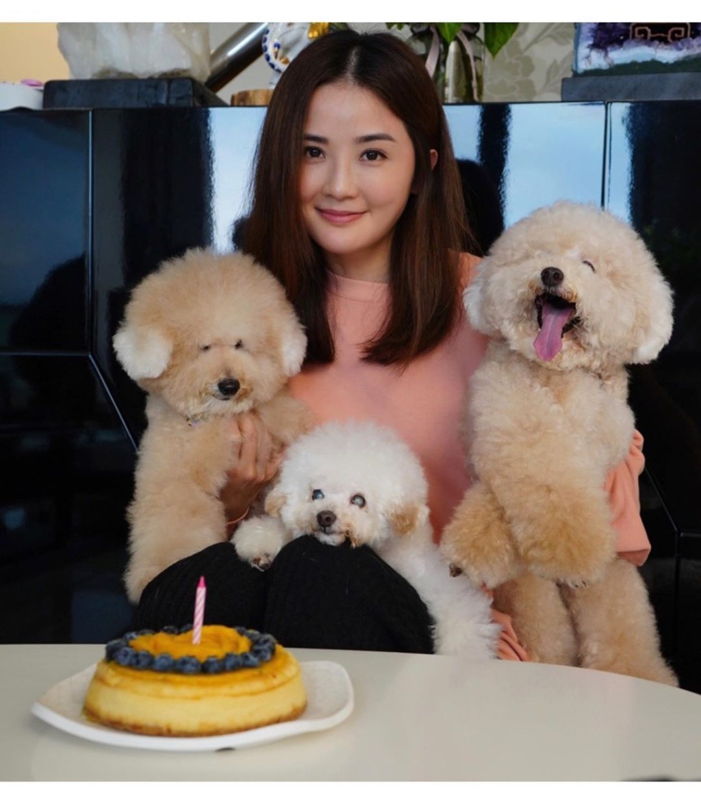 蔡卓妍年年都同「月餅」、「冰皮」、「碌柚」賀壽，轉眼牠們經已14歲，都出現老人病，要好好保養。