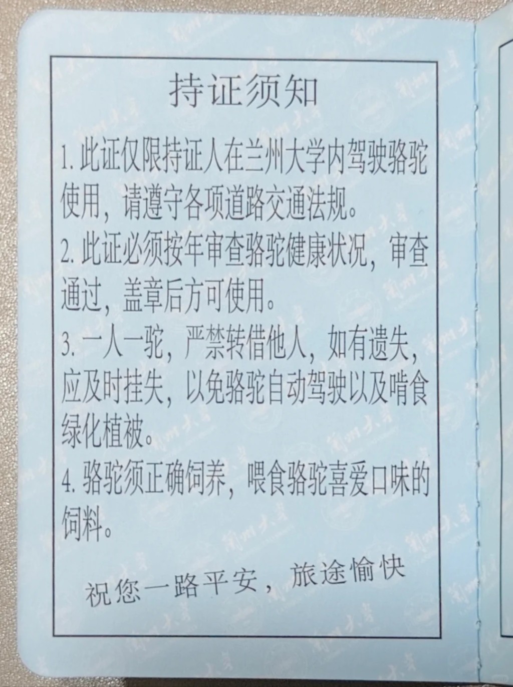 蘭州大學的駱駝駕駛證。小紅書@路小路的路 蘭州大學的駱駝駕駛證。小紅書@路小路的路