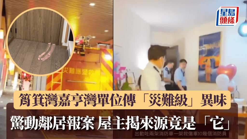 筲箕灣嘉亨灣單位傳「災難級」異味 驚動鄰居報案 屋主網上揭來源竟是「它」。Threads @ szeewing311圖片