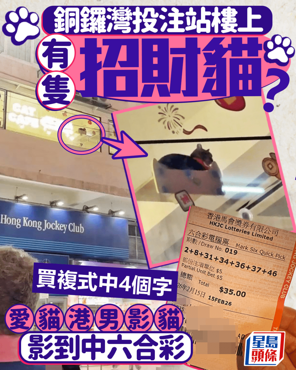 铜锣湾投注站楼上有只招财猫？ 爱猫港男影猫影到中六合彩 买复式中4个字｜Juicy叮