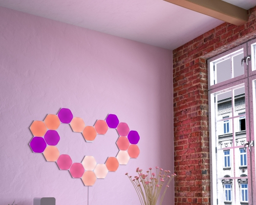 全新智能燈片憑藉Connect+技術，可兼容將來其他形狀的新產品（不能兼容Nanoleaf Canvas和Light Panels），每個控制系統可支援多達500塊燈板。