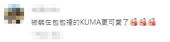 看到鍾欣潼將Kuma放進名牌袋，粉絲大讚：「被裝在包裡的KUMA更可愛了！」