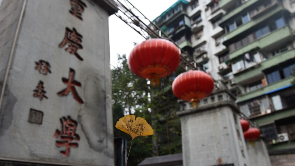 重慶大學。 中新社
