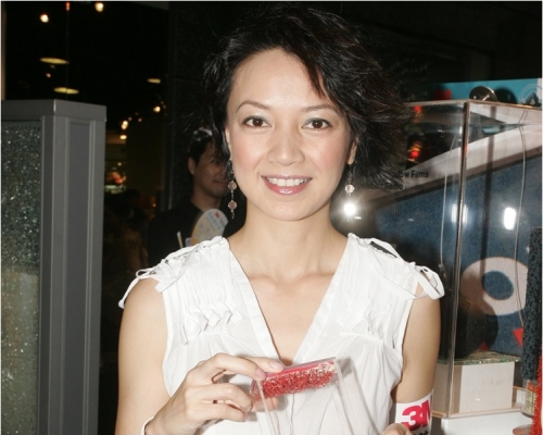 楊婉儀。資料圖片