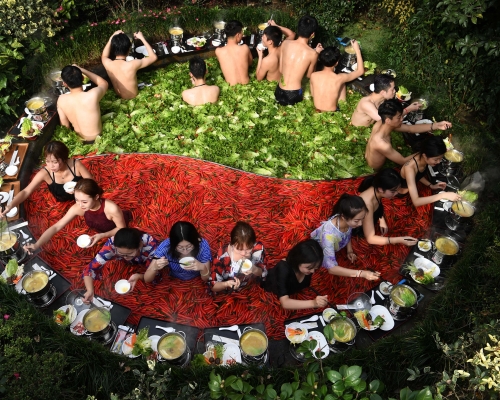 一半放滿了辣椒,一半放滿了生菜、菌菇、枸杞等佐料。網圖