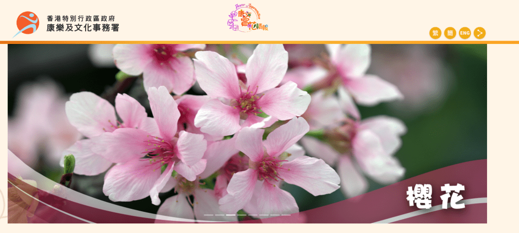 康文署推出賞花情報網站，定時更新8種受歡迎植物包括櫻花等開花資訊。