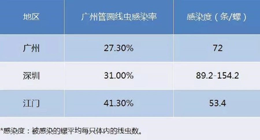 深圳發現每一隻受感染的蝸牛身上可能有過百隻寄生蟲。深圳市衛健委圖片