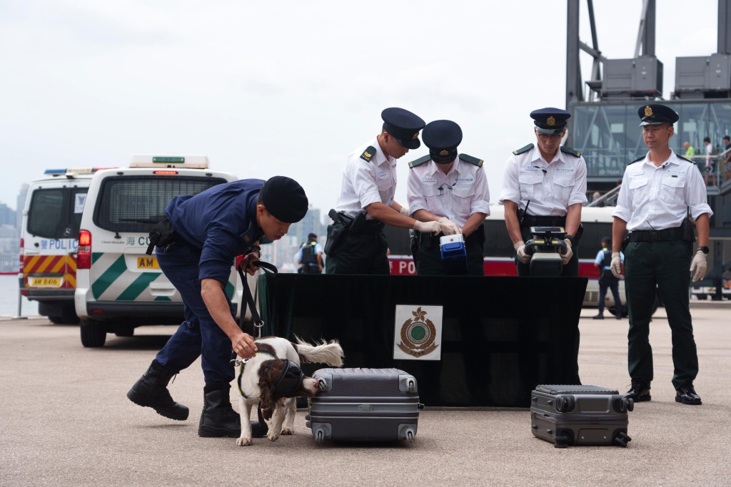 海關人員在演習中以海關搜查犬及精密儀器檢查郵輪旅客的行李。 海關人員在演習中以海關搜查犬及精密儀器檢查郵輪旅客的行李。