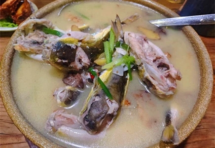 食用河豚凶險遠超想像。